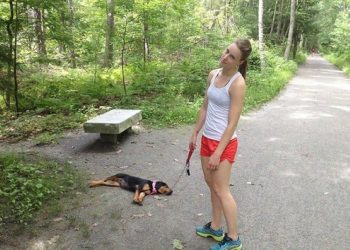 Уснул не в то время: 50 веселых снимков о коварной усталости