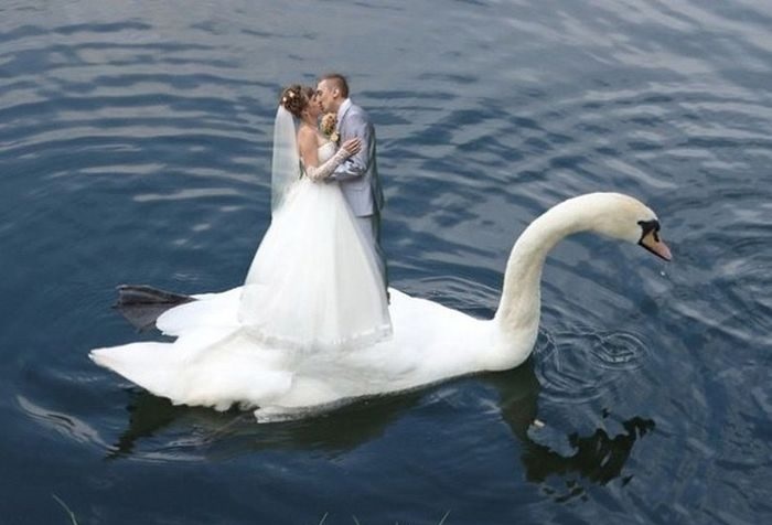 svadebnu fotoshop