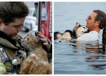 фото, которые возвращают веру в добро