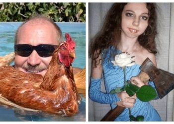 смешные фото