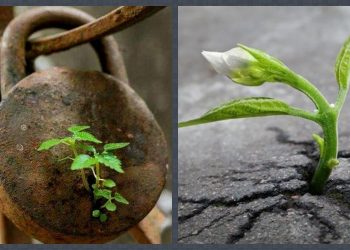 сила природы