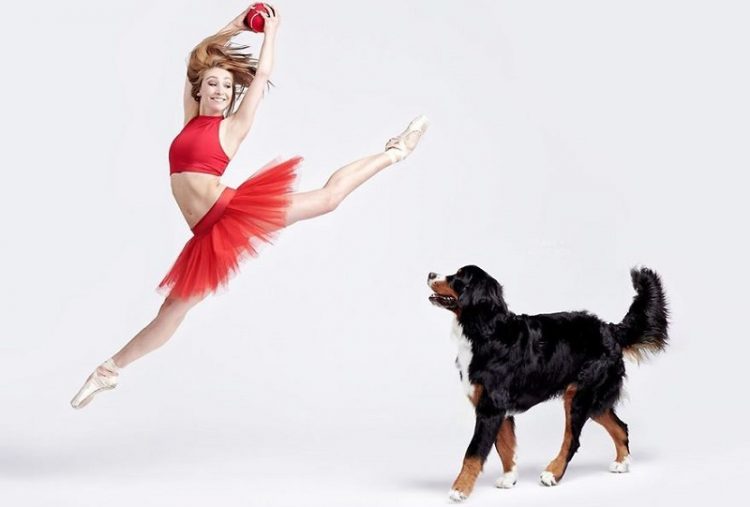 Dancers Dogs