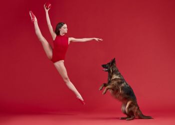 Dancers Dogs