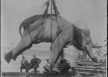 30 фото о том, каким странным был мир раньше