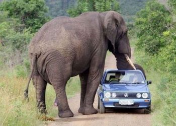 30 людей, которым нужно хорошенько постараться, чтобы вернуть спокойствие после неудач