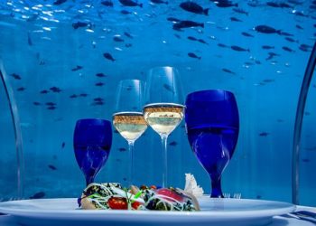 Необычные рестораны мира, которые вас удивят