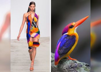 25 примеров, когда дизайнеры подсмотрели идею наряда у природы
