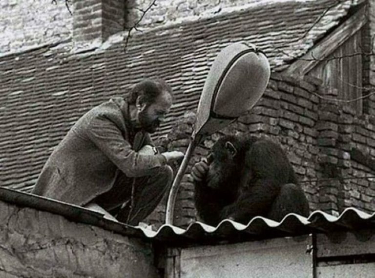 Кого бы вы хотели увидеть на старинных фотографиях дагерротипах сочинение с вводными словами