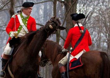 Животные в кадре