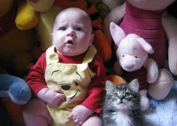 foto druzhba deti i domashniye zhivotnyye sobaki i koshki