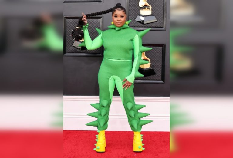 Fashion Fails Absurd Celebrity Outfits LiteStory